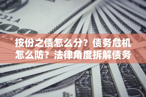 北京按份之债怎么分？债务危机怎么防？法律角度拆解债务分配与风险自保指南