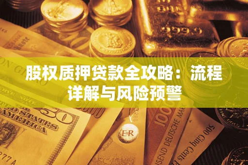 北京股权质押贷款全攻略：流程详解与风险预警