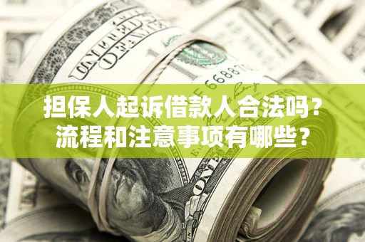 北京担保人起诉借款人合法吗？流程和注意事项有哪些？