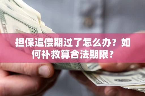 北京担保追偿期过了怎么办？如何补救算合法期限？