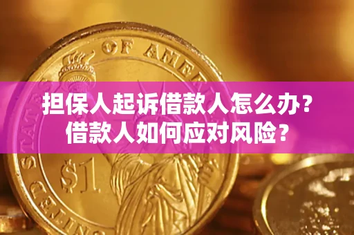 北京担保人起诉借款人怎么办？借款人如何应对风险？
